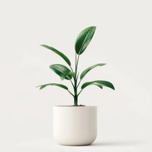 Home page product 04