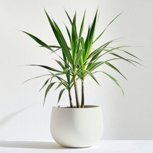 Home page product 05